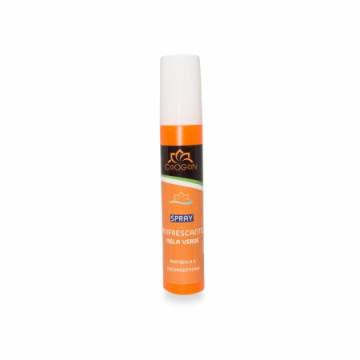 Erfrischungsspray – 150ML