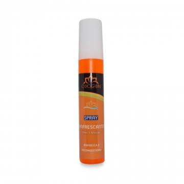 Erfrischungsspray – 150ML